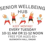 Senior Wellbeing Hub