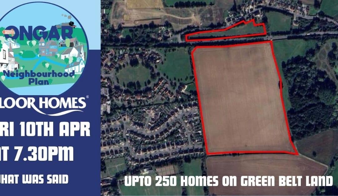 Chelmsford Road Field, Ongar — Meeting Summary