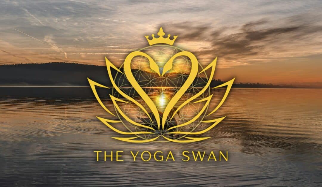 The Yoga Swan Feature